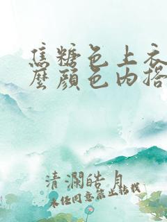 焦糖色上衣配什么颜色内搭