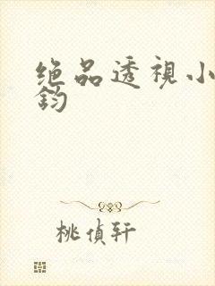 绝品透视小说张钧