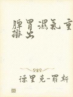 脾胃湿气重怎样排出