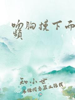 吻胸摸下面的视频