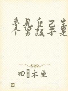 梦见自己生了一个男孩子是什么意思