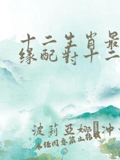 十二生肖最佳姻缘配对十二星座