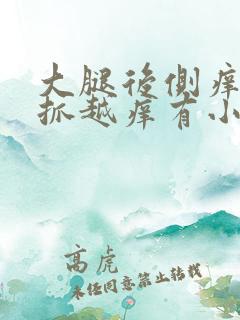 大腿后侧痒痒越抓越痒有小红疙瘩