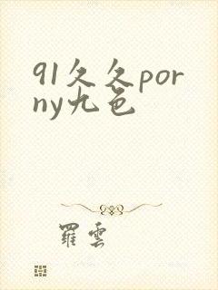 91久久porny九色