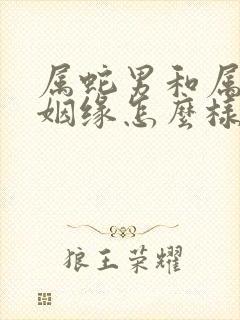 属蛇男和属蛇女姻缘怎么样