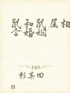 鼠和鼠属相合不合婚姻