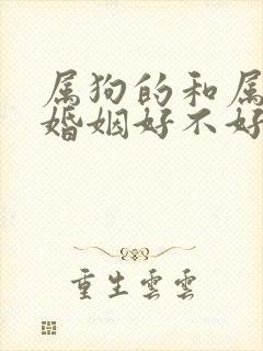 属狗的和属蛇的婚姻好不好