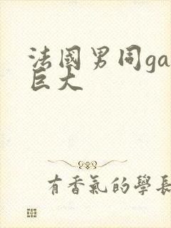 法国男同gay巨大