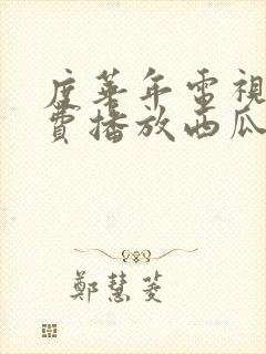 度华年电视剧免费播放西瓜网