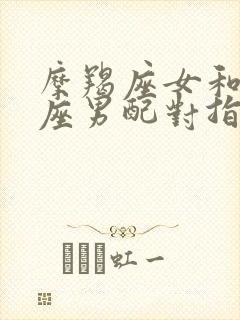 摩羯座女和双鱼座男配对指数