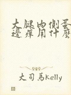 大腿内侧蛋蛋旁边痒用什么药膏