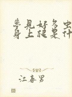 梦见好多虫子在身上爬是什么征兆