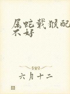 属蛇戴猴配饰好不好