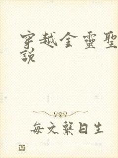 穿越金灵圣母小说