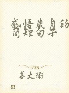 感悟岁月的经典简短句子