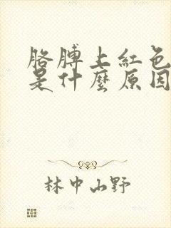 胳膊上红色小斑是什么原因