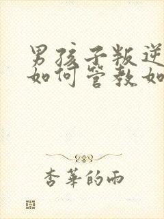 男孩子叛逆期该如何管教如何开导