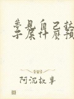 梦见自己拉一裤子屎什么预兆周公解梦