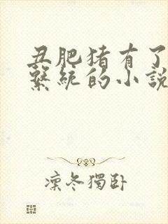 丑肥猪有了催眠系统的小说