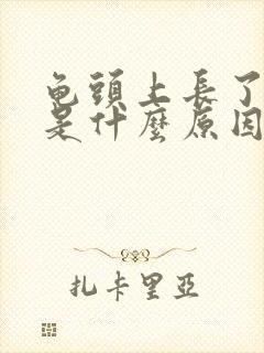 龟头上长了黑斑是什么原因