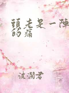 头老是一阵一阵的痛