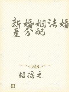 新婚姻法婚前财产分配