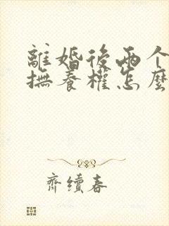 离婚后两个孩子抚养权怎么判定