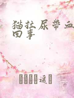 猫拉尿带血怎么回事