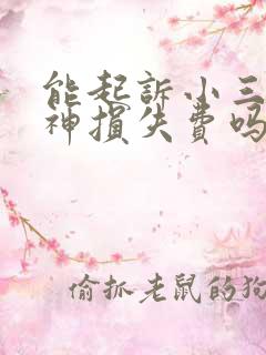 能起诉小三要精神损失费吗