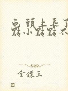 龟 头上长了红点小点点不痛不痒