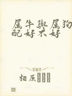 属牛与属狗的婚配好不好