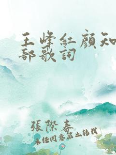 王峰红颜知己全部歌词