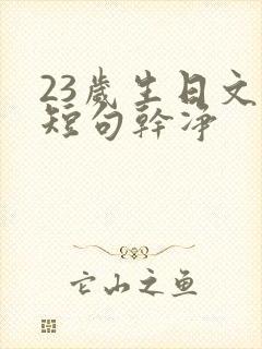 23岁生日文案短句干净