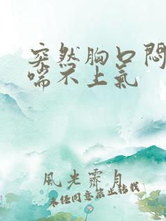 突然胸口闷闷的喘不上气