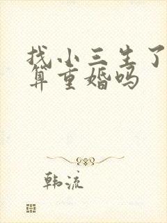 找小三生了孩子算重婚吗