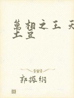 万相之王 天蚕土豆