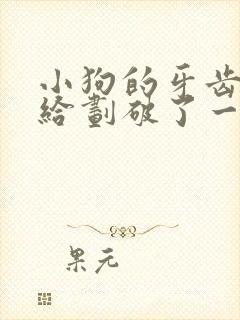 小狗的牙齿把手给划破了一点皮没出血