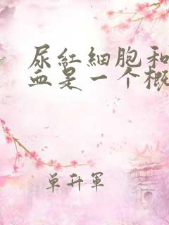 尿红细胞和尿潜血是一个概念吗