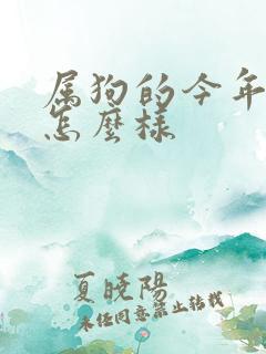 属狗的今年姻缘怎么样