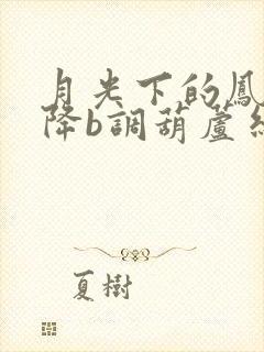 月光下的凤尾竹降b调葫芦丝简谱