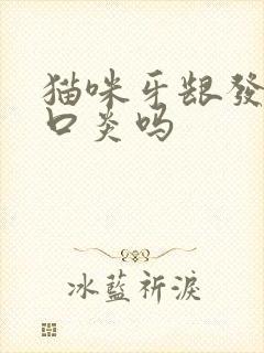 猫咪牙龈发红是口炎吗