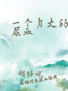 一个月大的猫咪尿血