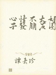 心情不太好的句子发朋友圈