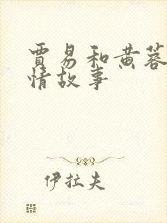 贾易和黄蓉的爱情故事