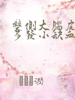 双侧大脑皮层下多发小缺血灶