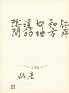 阴道口和肛门之间的地方疼