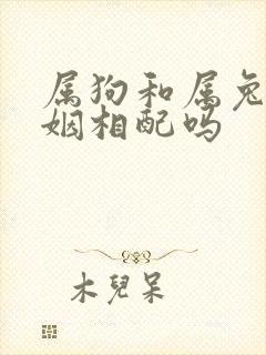 属狗和属兔的婚姻相配吗