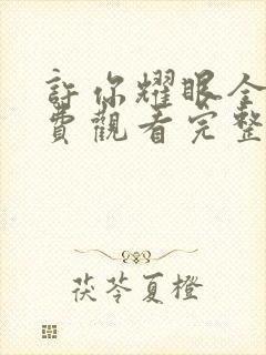 许你耀眼全集免费观看完整版