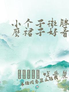 小个子微胖穿什么裙子好看