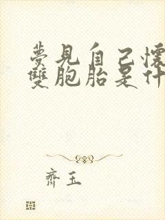 梦见自己怀孕怀双胞胎是什么意思